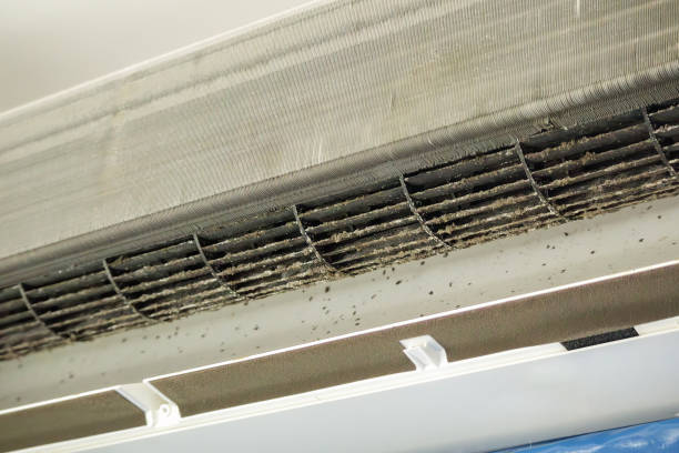 Best Affordable HVAC Duct Cleaning  in Purdy, WA